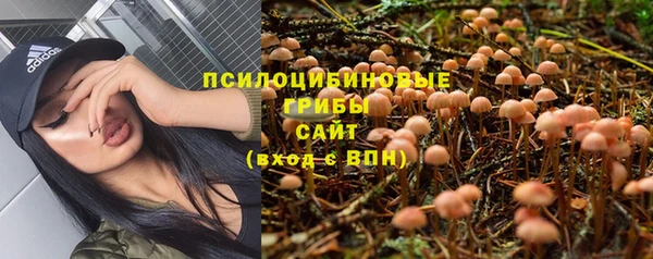 марки lsd Белоозёрский
