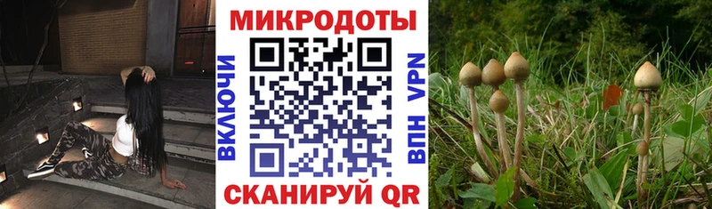 Галлюциногенные грибы Cubensis  OMG зеркало  Вязьма 