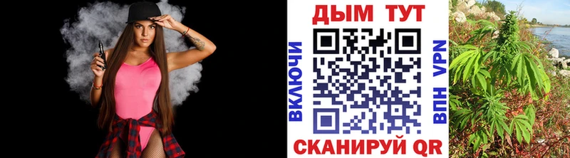 где можно купить   Вязьма  Каннабис конопля 